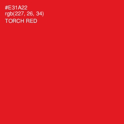 #E31A22 - Torch Red Color Image